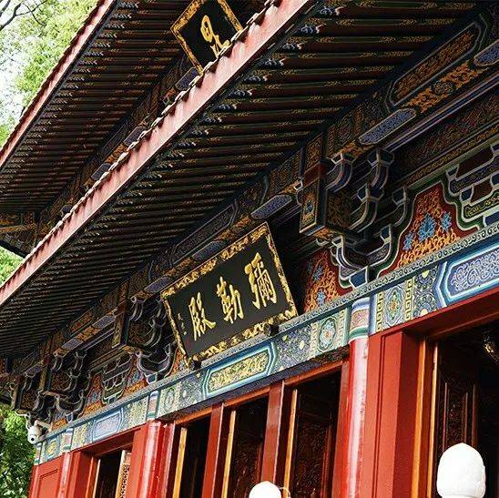 乐言乐语丨自觉已圆,能觉他者,如来应世_大佛_珍品_山林