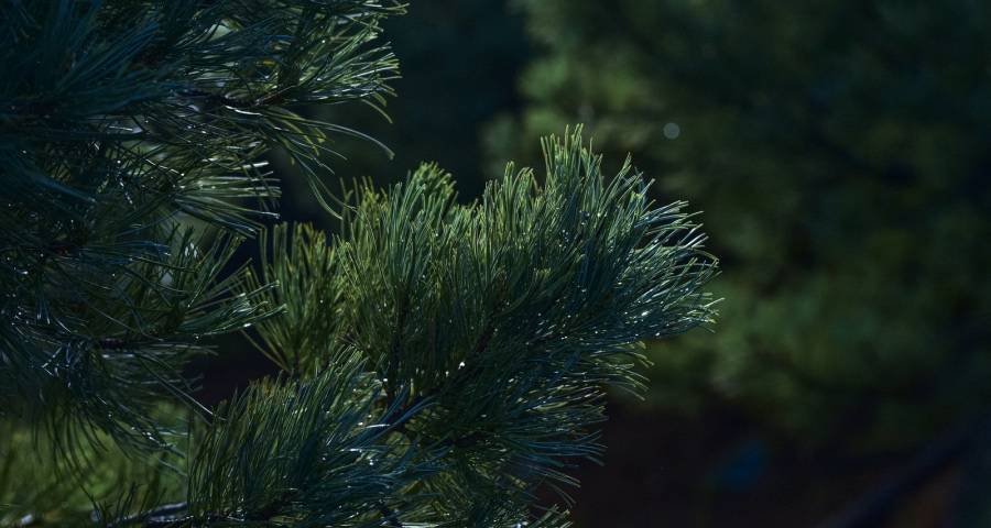 即时零售来了!家电厂商能否借东风促销售?-家电圈官网