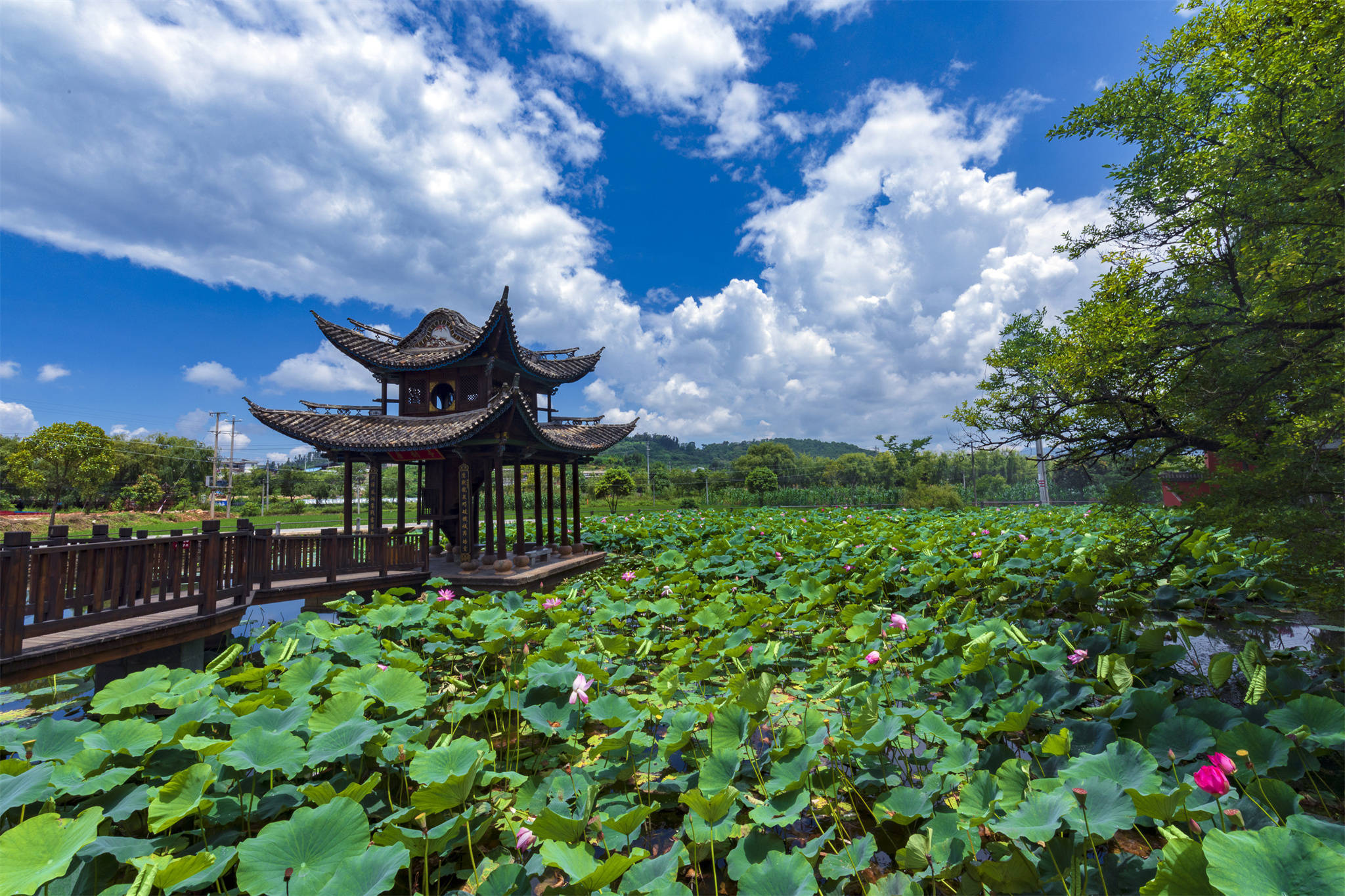 保山市施甸县:绿美城乡富生机_县城_生态_环境
