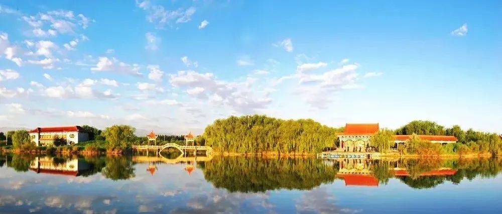 高台县在实践实干中看到诗和远方_种植_葡萄_发展