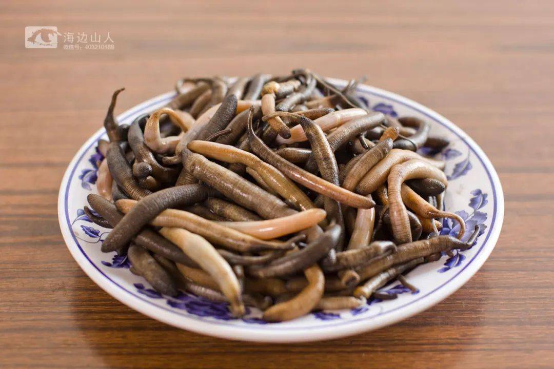 漳州非遗|闽南土笋冻制作技艺_龙海_传承_海滩