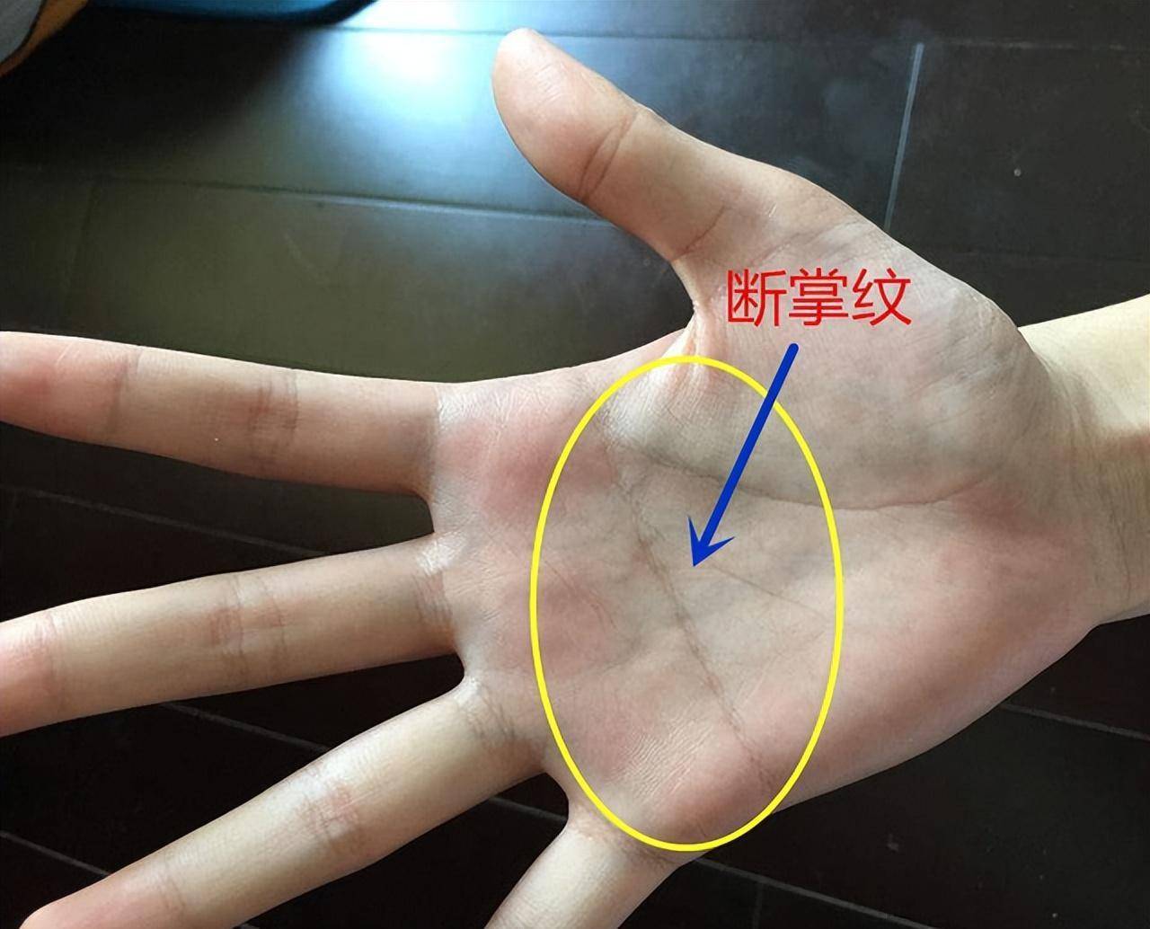 俗语"真断掌招福来财,假断掌人穷家败",古人以此识人,可信吗_智慧