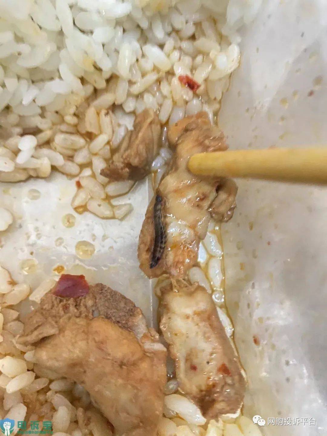 “美团外卖”吃到虫子 商家不承认反认为用户讹钱引不满(图1)