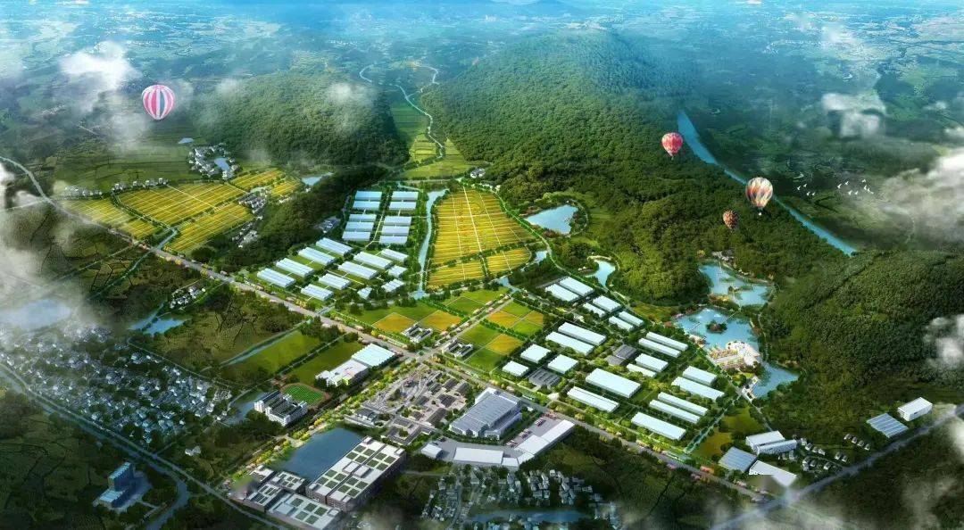 创农乐小镇 书诗画桃源——浦阳镇农业特色型美丽城镇创建工作迎来