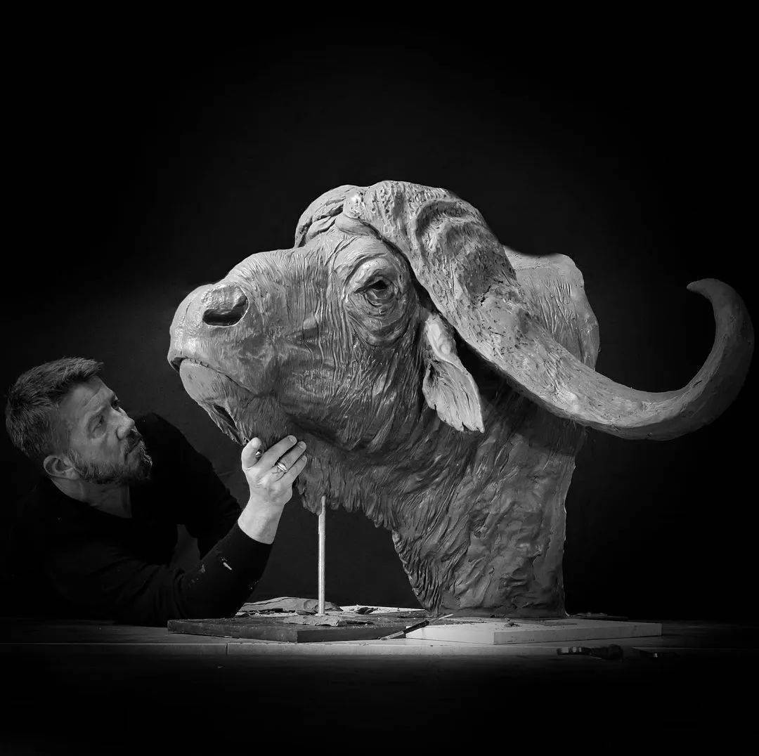 michael rumiz | 硬派写实的动物雕塑_多姆_征稿启事_妹儿