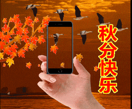 问候祝福动画表情包 秋分早安问候祝福语动态图片精选_秋风_衣裳_天气
