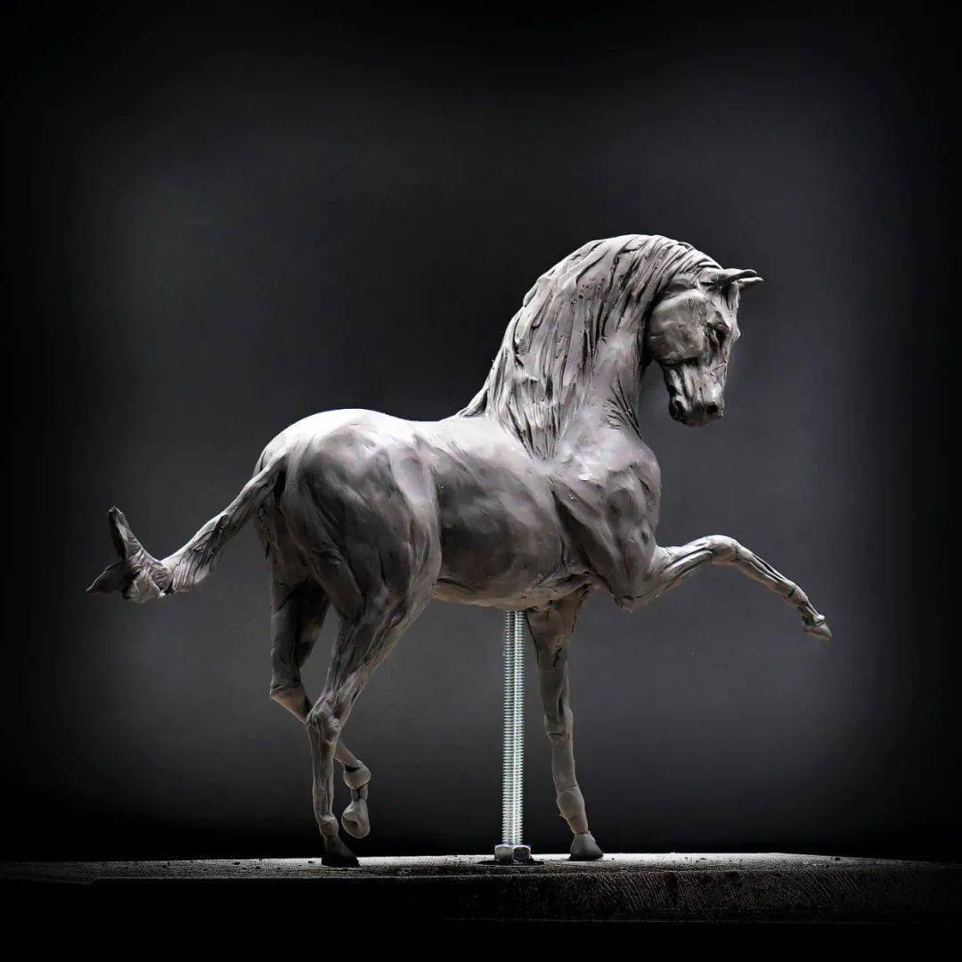 michael rumiz | 硬派写实的动物雕塑_多姆_征稿启事_妹儿