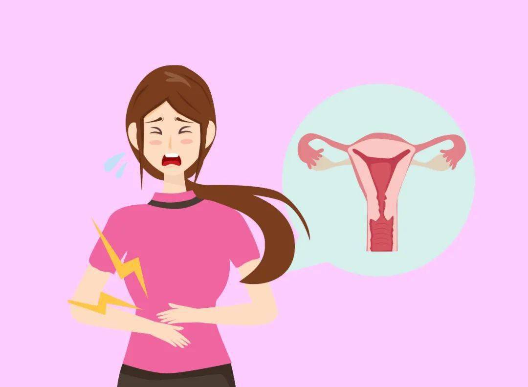 女性_尿道_私处