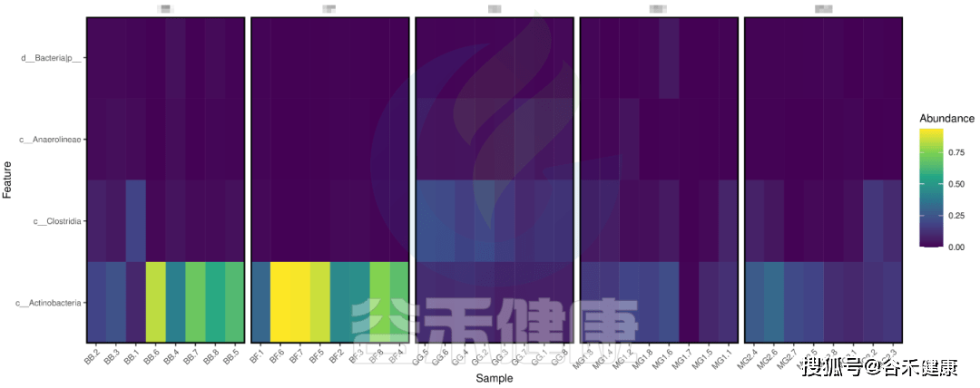 16s科研报告结果从这几个方面入手，快速获取关键信息_样本_取样_分析