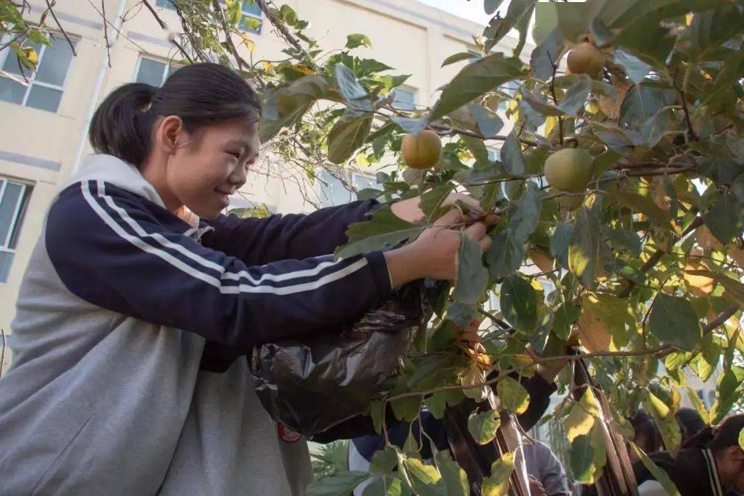 芦山县国张中学图片