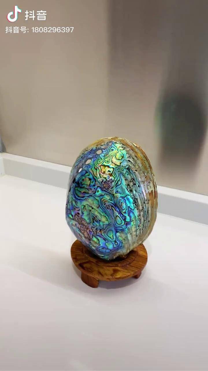 今天是拍的最累的一期视频,打磨黑金鲍2小时,打扫厨房4小时 黑金鲍 抖