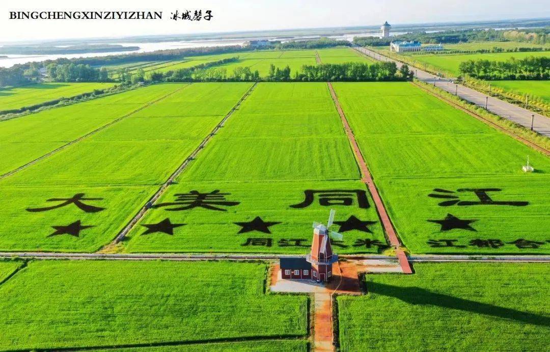 鸡西市虎林市854农场17.双鸭山市友谊农场18.