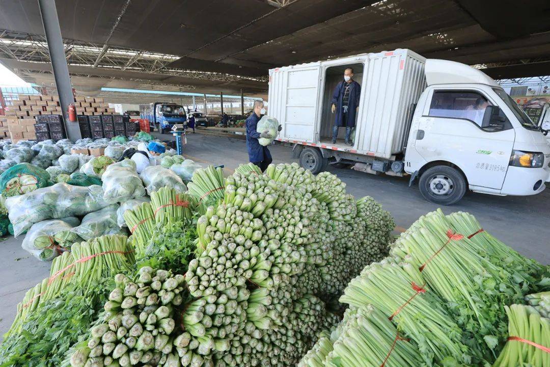 伊犁九鼎农产品批发市场累计销售配送蔬果1700余吨_蔬菜_防控_九鼎