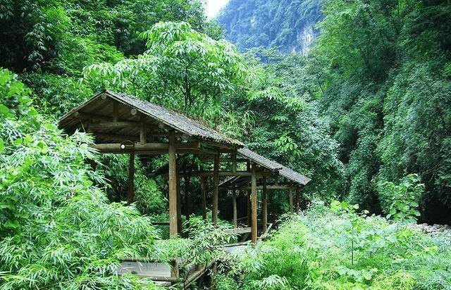 重庆一5A级景区走红，誉为西南的神农架，被赞“最佳休闲名山”