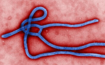乌干达埃博拉疫情蔓延至中部三个区：16例确诊，18例疑似，海关总署公告...