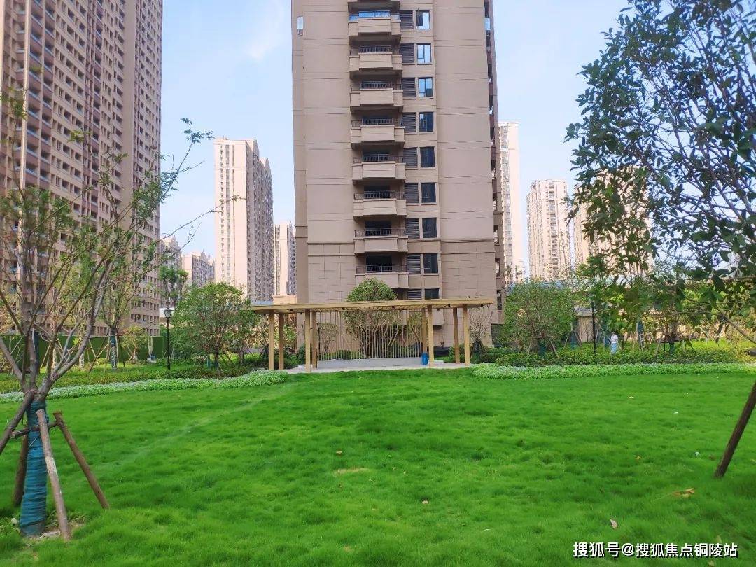 武汉美联·城观售楼处电话多少丨美联·城观丨官方网站—美联·城观