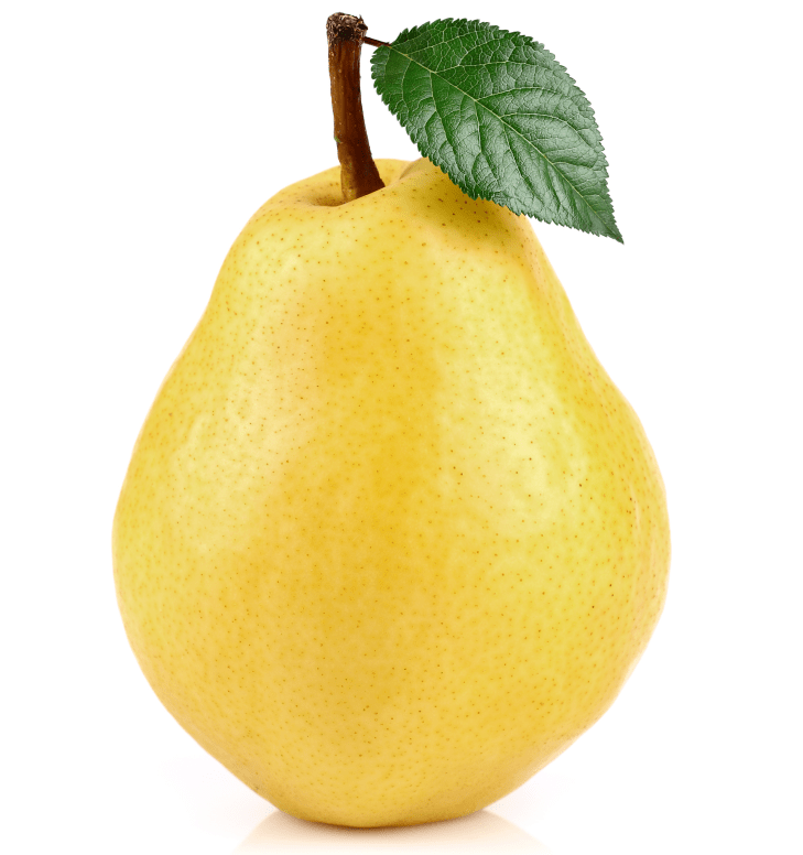 图片由包图网授权鹅梨古时候的鹅梨,在现如今,通常指的是鸭梨,又称