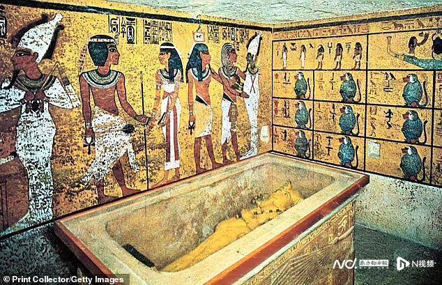 古埃及最著名女王之一娜芙蒂蒂木乃伊或已发现，将检测DNA