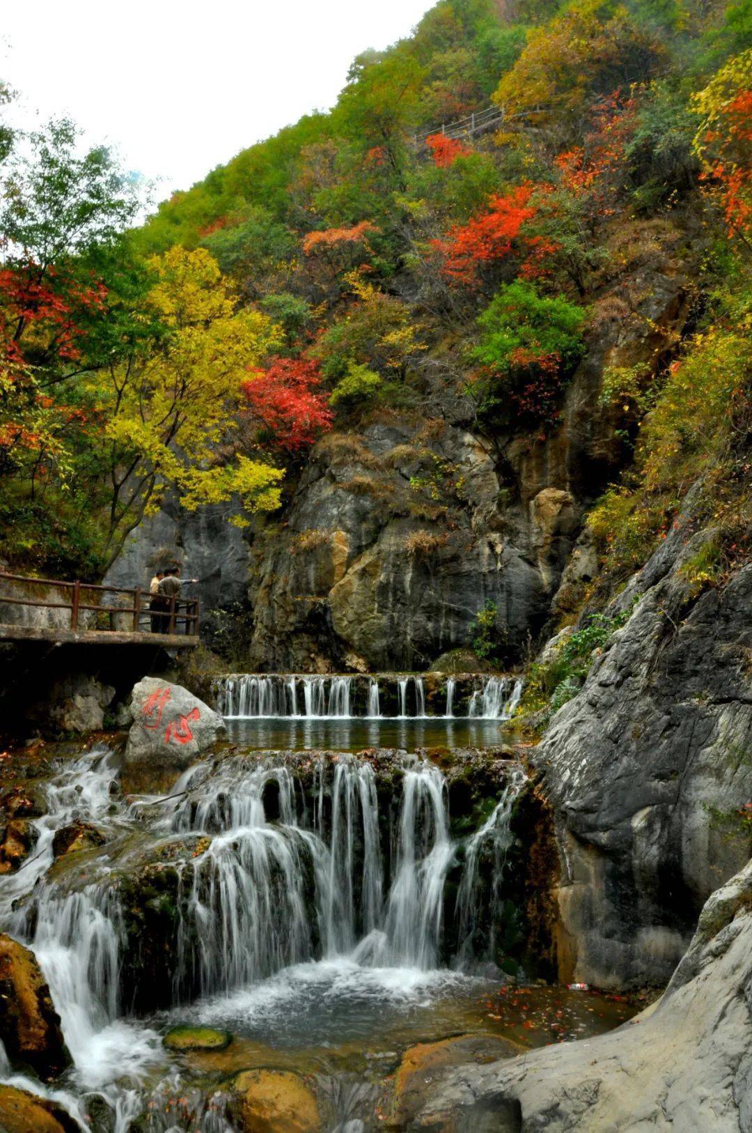 优惠!国庆假期,卢氏景区优惠大礼包等你来查收_门票_卢姓_电话
