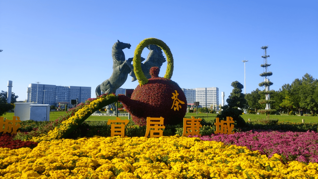 造型菊展示区,品种菊展示区,标本菊展示区五大展区,共展出菊花品类110