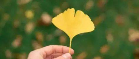 金子般的十句话！（非常经典）_生活_人生_工作