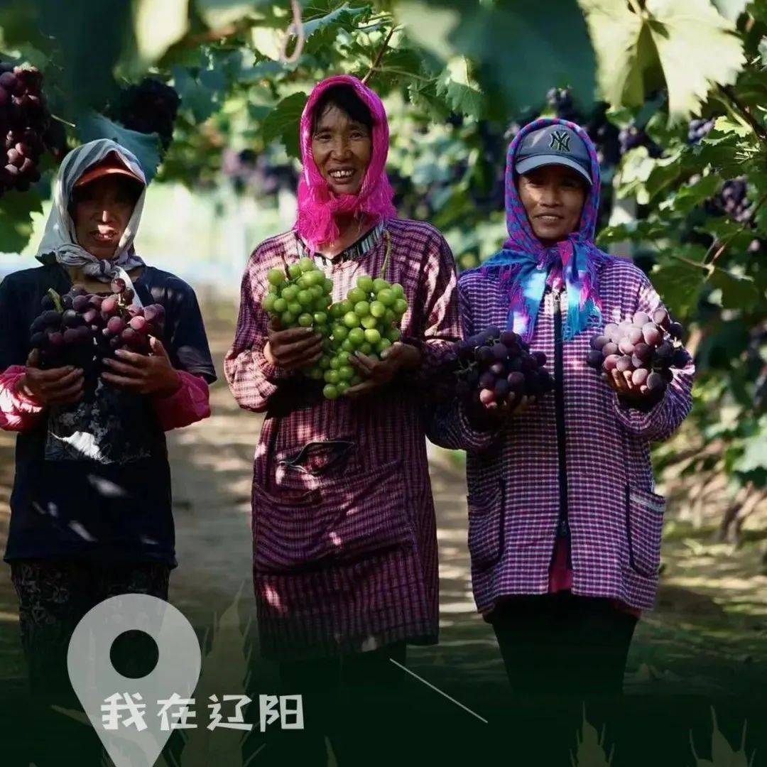 “丰收的喜悦有多美”_方岑_王威_图文