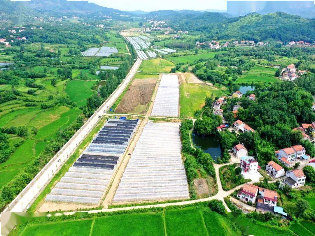 【六片示范全域提升】马曹庙镇:"五个坚持"引领村集体经济走出新路子