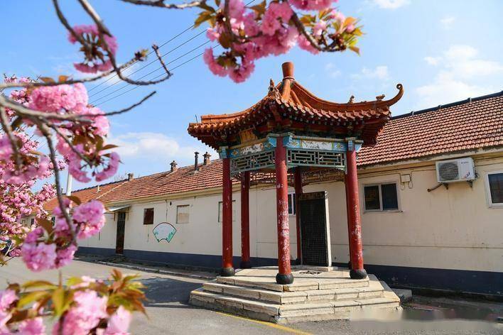 寿光市上口镇围绕"生态宜居村庄美,兴业富民生活美,文明和谐乡风美"的