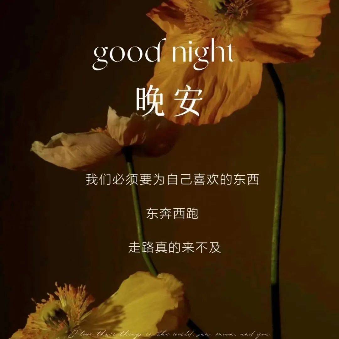 晚安|高级感晚安心语图片_信任_误解_最好的