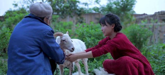 李子柒海外粉丝破千万太争气!