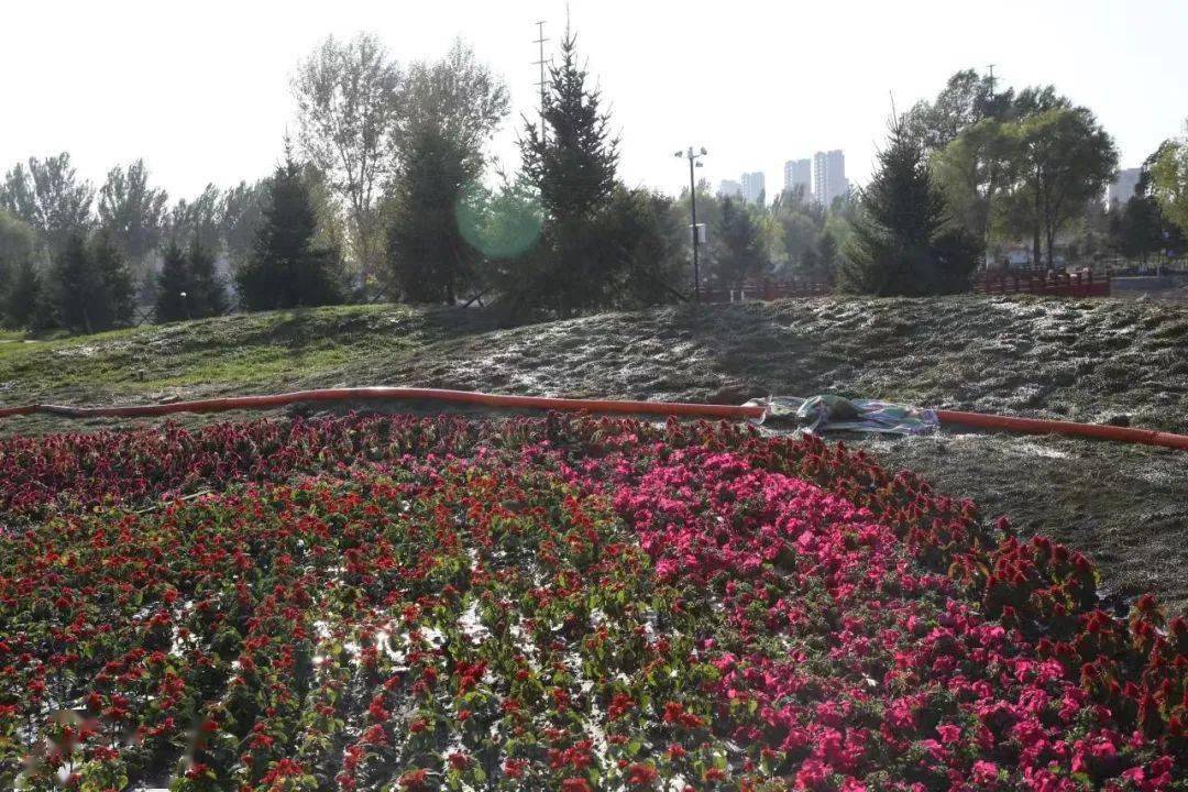 白城市森林公园主体建设完成,现已对外开放!_绿化_市民_文化