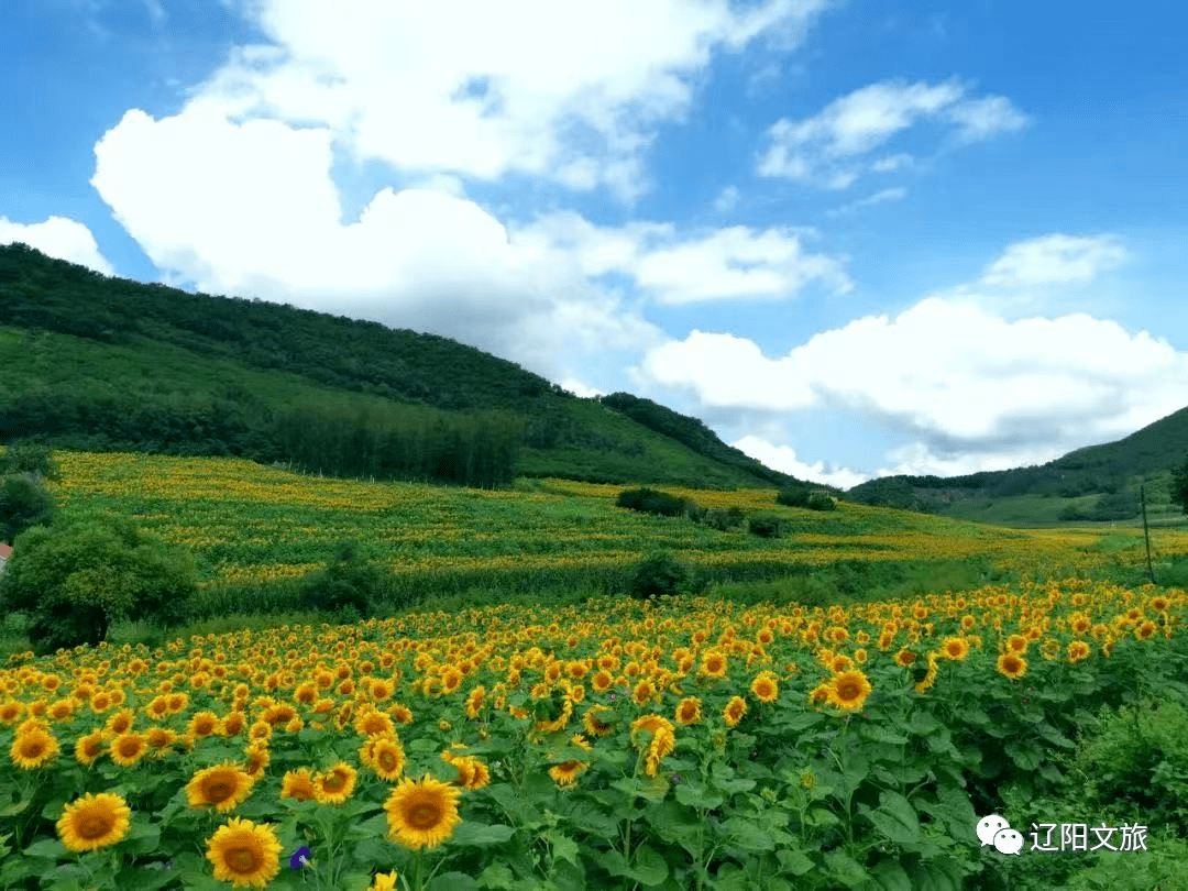 辽阳乔家沟自然风景区图片