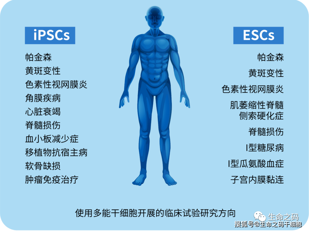我国iPSC来源NK细胞药物紧跟前沿，iPSC获近10亿资本加持，潜能无限-生命之码_iPSCs_诱导_研究