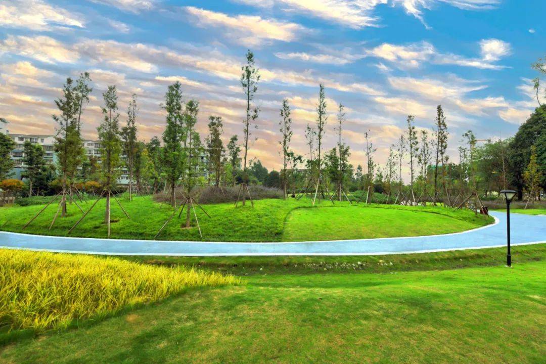 梓潼公园实景图与此同时,项目外部的犀浦体育公园(已开工),天府阴术