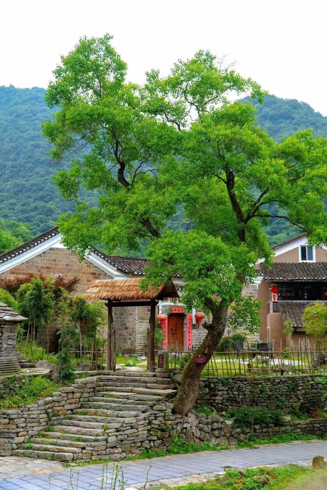 十一攻略(二)〡寻找远安限定秋色_远安县_凤山_鸣凤镇