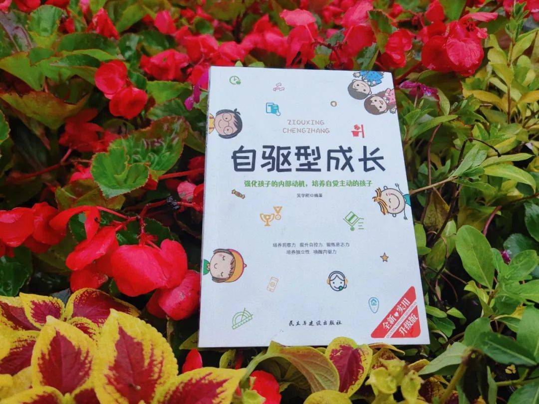 教育共同体·家长共读一本书(53)|《自驱型成长》之"培养洞察力,帮