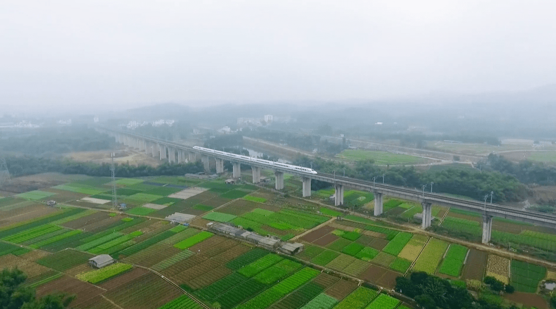 南深高铁玉林至岑溪段全面开工._建设_调查_电话