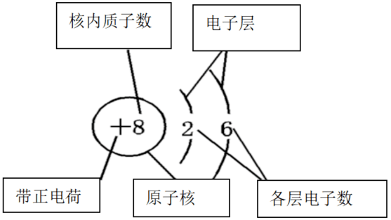 金的电子层结构示意图图片