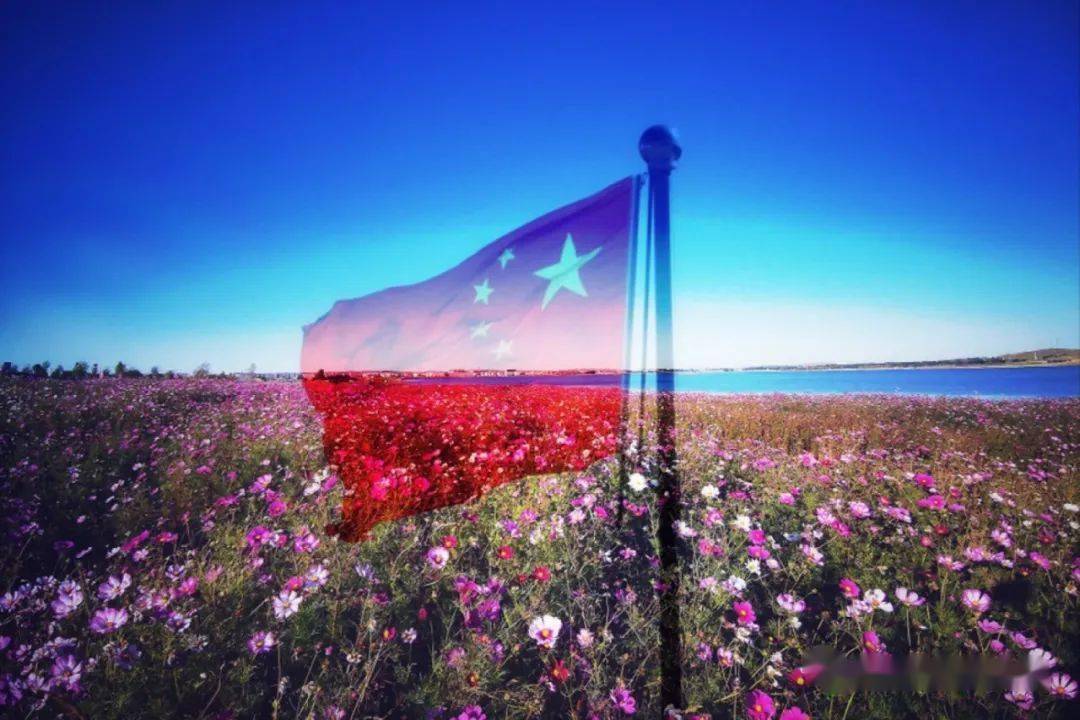 块砖的厚重感受你的历史当我以春天故事里一朵花的绽放感受你的风姿哦