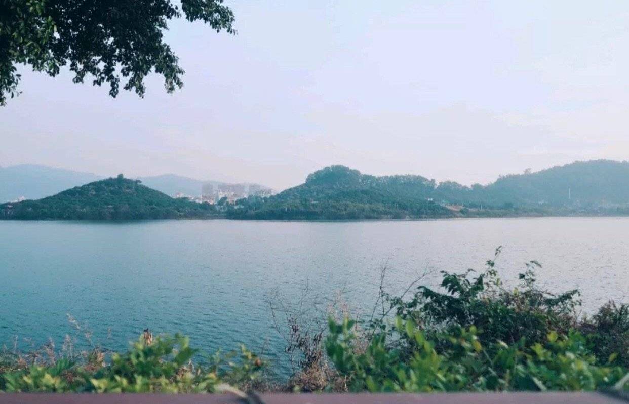 深圳竟有一处小西湖？带你一秒穿越到杭州，美得让人无法呼吸！