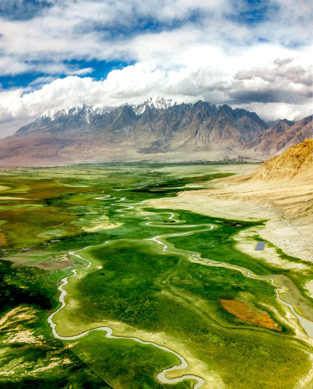 即程旅游——塔合曼湿地帕米尔高原上的世外桃源_草原_印象_雪山