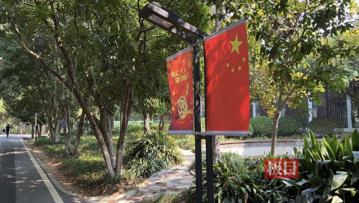 百合俏国旗飘，武汉植物园“新装”庆国庆