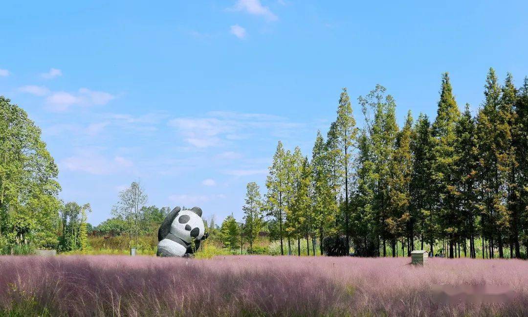 【主播带你游崇州】打卡严家弯湾 感受别样浪漫_游客_观胜镇_盆景