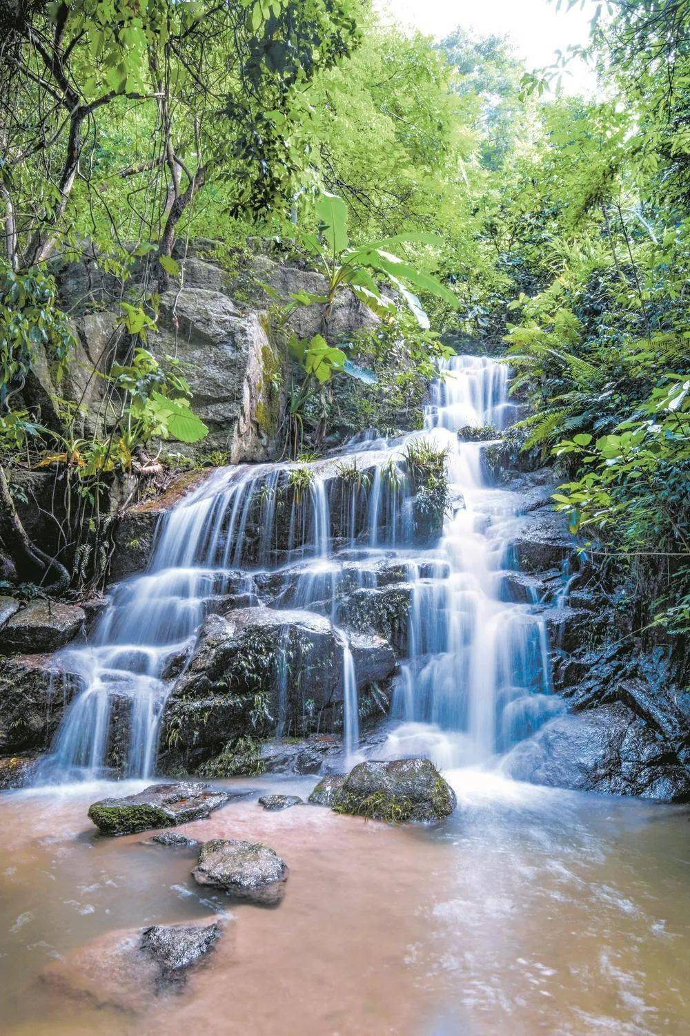 钦州日报记者 杨桂宁 通讯员 龙 浩 摄为建设生态林献上绵薄之力.