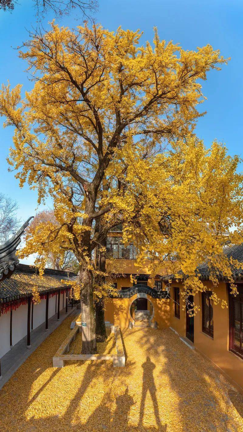 石壁窝里有古刹——永慧禅寺,俗称石壁庵,石壁精舍,石壁禅寺,又称湖东