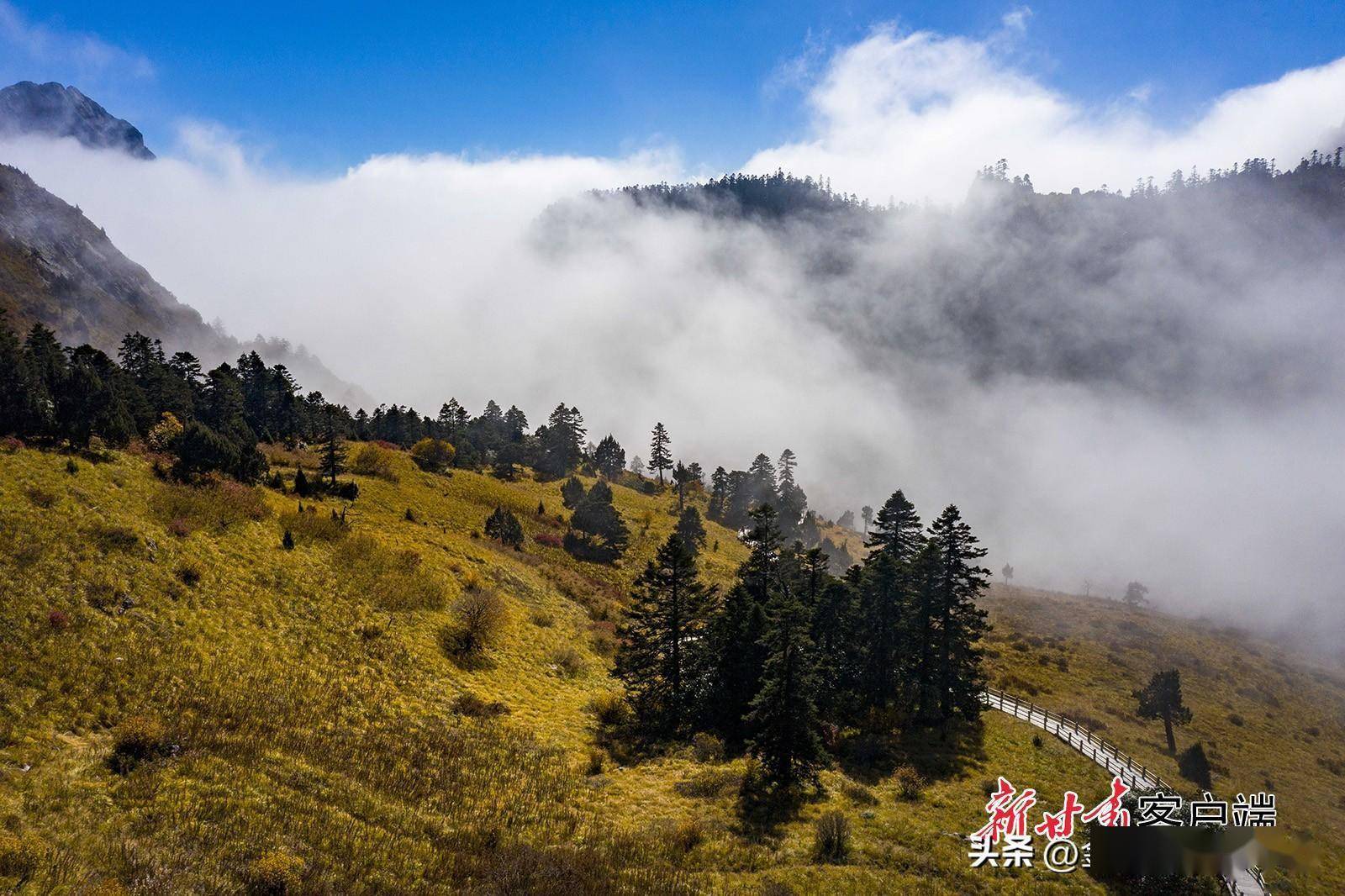 雷古山现云海景观_甘肃_长假_国庆