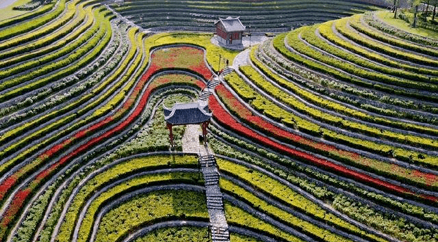 大地艺术风格的景观作品