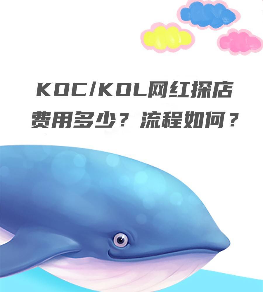 蓝鲸云文化：KOC/KOL网红探店费用多少？流程如何？_搜狐网