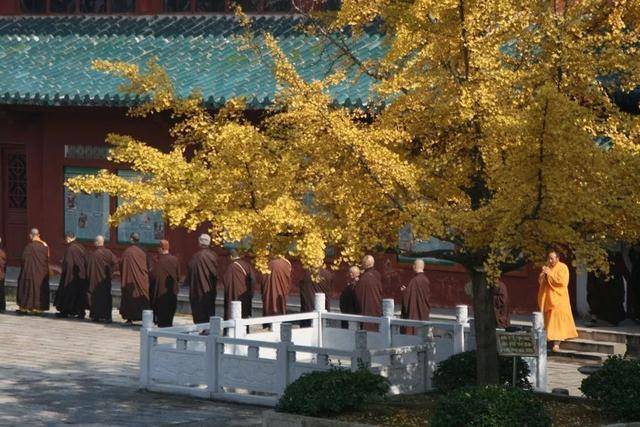 中国最“纯净”的寺庙，门票吃喝全免费，但这种女人会被限制进入