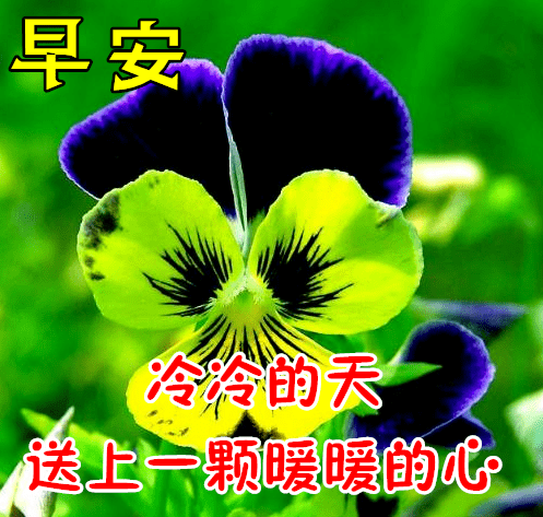 10月7秋天早上好动态表情图片大全,早晨好动图美图大全_生活_是一种